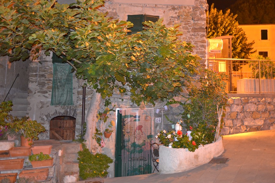 corniglia_maisons