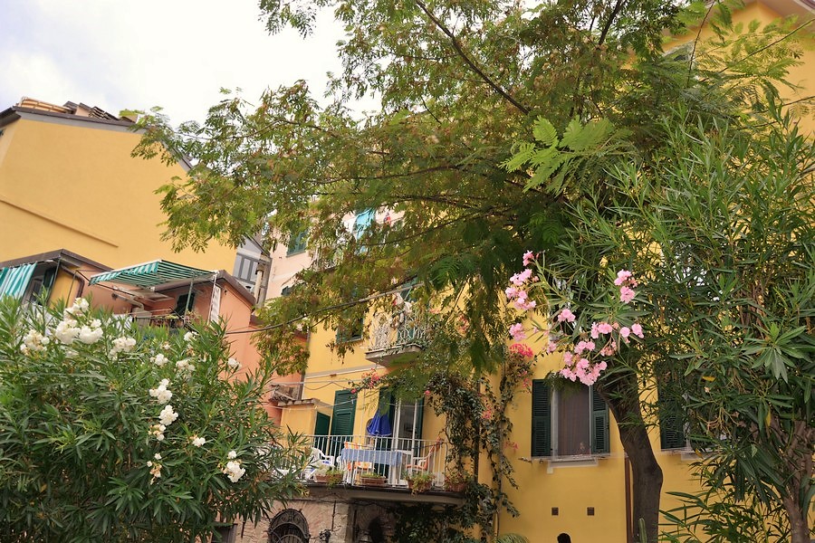 riomaggiore_ruelle