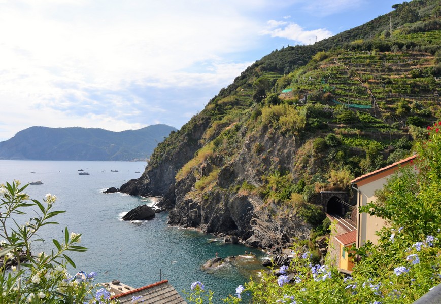 vernazza_colline