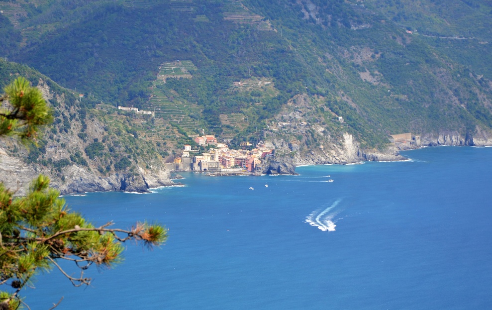 vernazza_cote