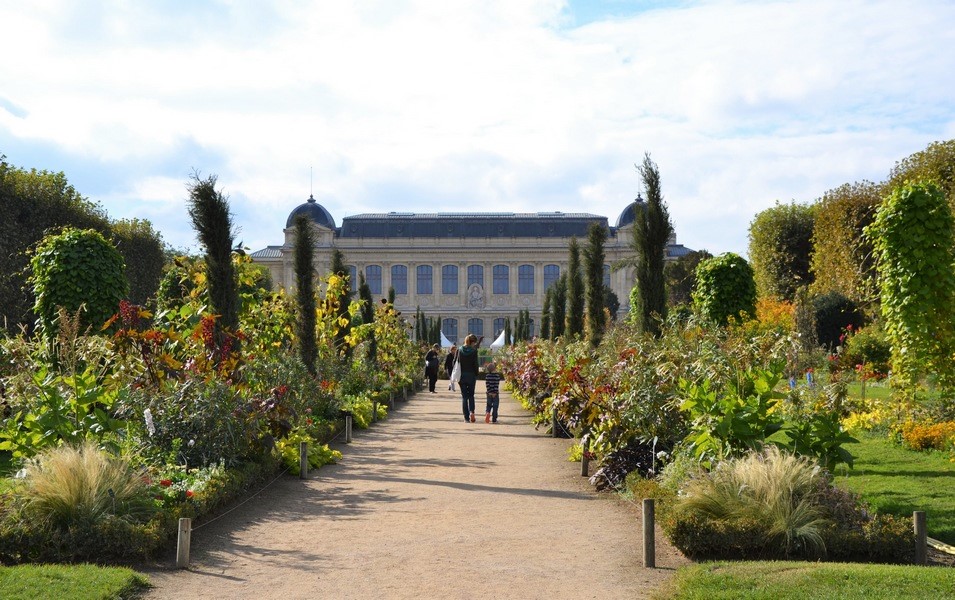 allee_jardin_des_plantes