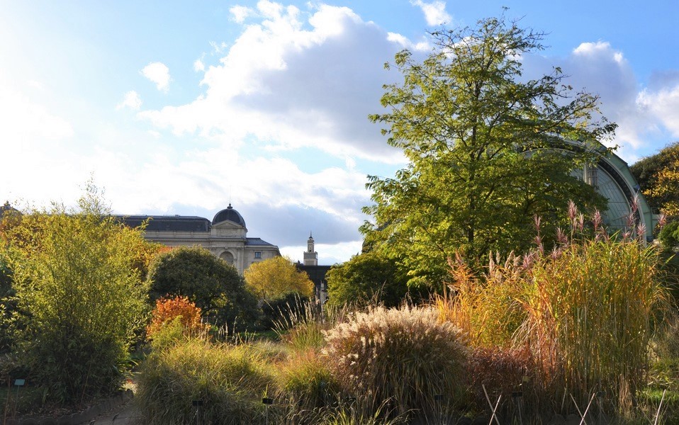 mosquee_jardin_des_plantes