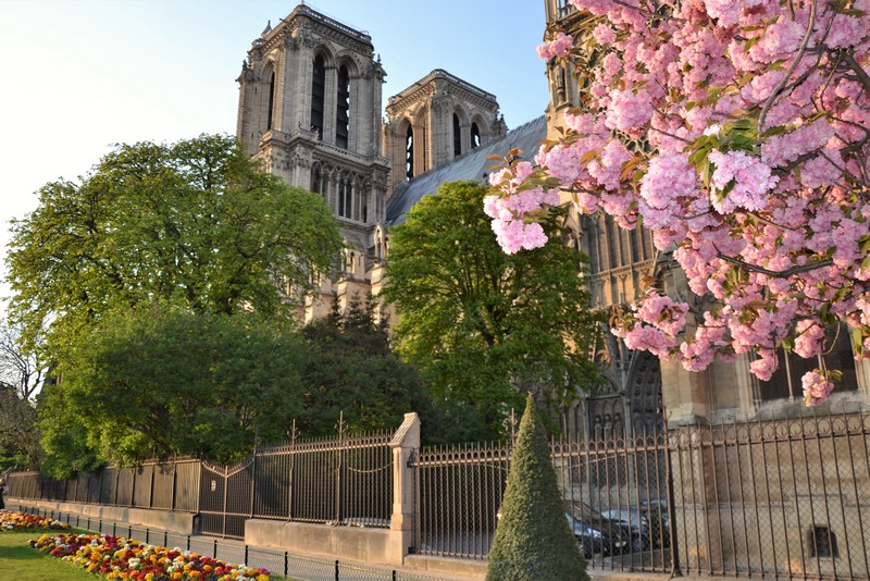 Coucher de soleil sur Notre-Dame