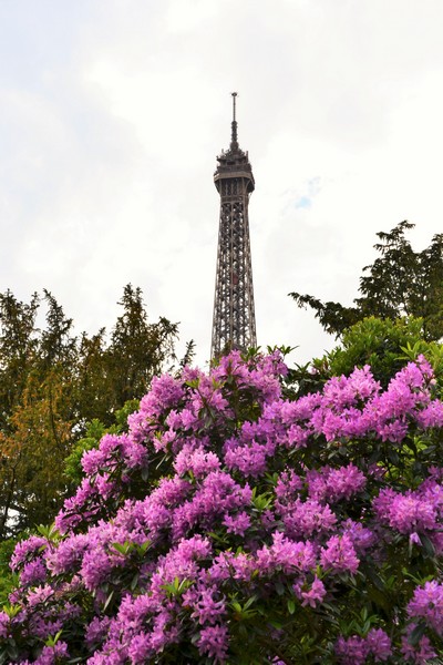 visiter la Tour Eiffel