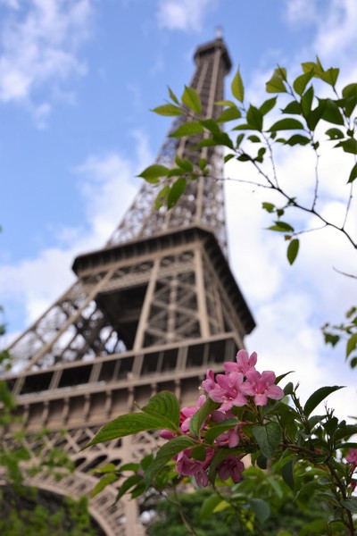 Visiter la Tour Eiffel