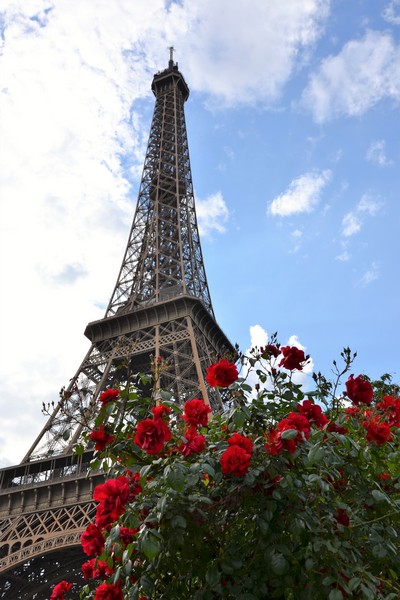 Rosiers Tour Eiffel