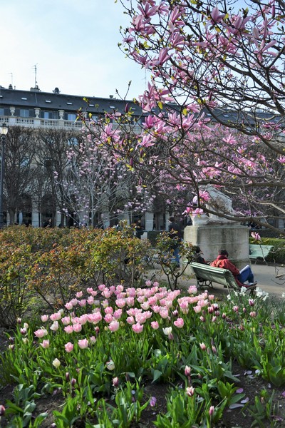 jardin du Palais Royal